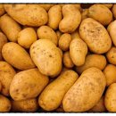 굿바디핏 이미지