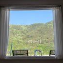 용전1로2길 전체 | [밀양펜션/밀양수영장펜션] 밀양 스테이자이언 P클래스 숙박 후기