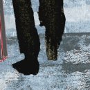 아누캄파(ANUKAMPA) 이미지