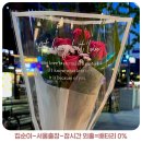 집순이-서울출장-장시간 외출=배터리 0%