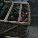 석지농장 이미지