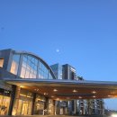 은게임장 | 제주도 제주 서귀포 호캉스 5성급 호텔 해비치호텔 리조트 숙소 숙박 추천 후기