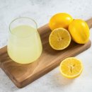 올리브독 이미지