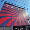 엑스아이 | 속초 뮤지엄엑스 아이와 다녀온 솔직후기 AI 초상화·나비체험·인생네컷까지 한 번에