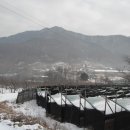 용산4리 이미지