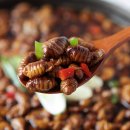 물고기삼촌 이미지