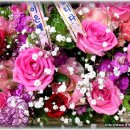 대구동덕초등학교 이미지