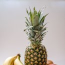 브릭스(Brix) 이미지