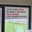 오션브릿지 키즈풀빌라 에이스 | [대부도 독채 풀빌라 펜션] '오션브릿지 B동'-2박 3일 아기와 함께한 12명 대가족 여행, 애견 동반 가능...