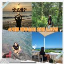 신엄해녀의집 | 제주살이 끝, 육지로 돌아가며… 4개월 제주살이 가장 좋았던점 VS 단점 & 극복팁