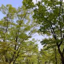 삼전세탁소 | 서울/강남잠실/1억원대 전셋집 찾기 : 동네투어 후기