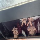 (주)신영정공 이미지