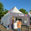 예쏘니의 #20260505 (2) 포켓몬 런 IN SEOUL (뚝섬 한강공원)