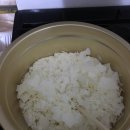 로즈아씨 이미지