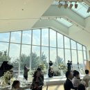 호텔카라 | 25년 11월 서울 김포공항 앞 메이필드호텔 카라홀 하객 찐 후기