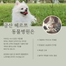 금산헤르쯔 동물병원 이미지