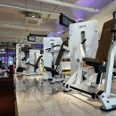 옐로우피티 이미지