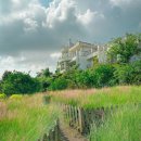 제주블랑 | 제주 핑크뮬리 시기 제주 마노르블랑 핑크뮬리축제 후기