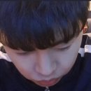 댕댕이꺼 이미지