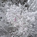 진짜배기 - 사상구 엄궁로 73 | 진짜배기
