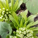 숲속 나들이 펜션 이미지