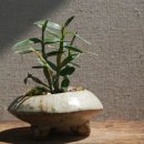 여명농장 이미지