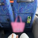 에스제이팜 | 홋카이도랩 프리미엄 비에이 투어 내돈내산 후기 | 준페이 예약