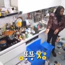 폴스튜디오 이미지