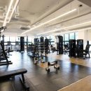 리든덤벨 이미지