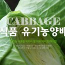 따봉식품 이미지