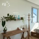 산책자의집 | 또 가고 싶은 제주 가성비숙소 한동리 산책자의 집 내돈내산 후기 (예약방법, 뒷집 자쿠지)