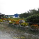 옥계마을회관 이미지