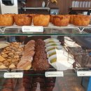 제주리브 이미지