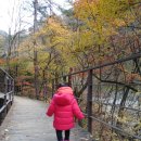 (2018.10.27~28)소백산국립공원남천야영장솔직후기