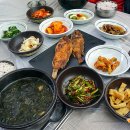 모송정 Daum카페