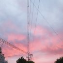 대구 달성공원 새벽시장(반짝시장) 가리비사와서 쪄먹었어요