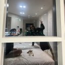 짐 핏 부산 이미지