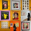 패션브랜드의 재미있는 비하인드 스토리 | 대전 시립미술관 '앤디워홀 :예술을 팔다' 전시회 다녀왔어요!