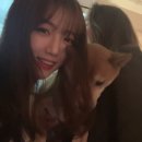 aaaa에이넷 이미지