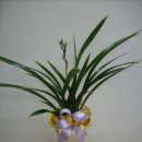 영전농장 이미지