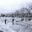 온천천 일대 이미지