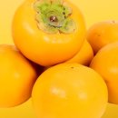 장서는 날 이미지