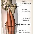 리버스바디 이미지