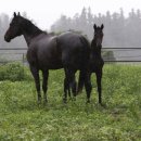 순산목장 이미지