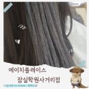 강삼지 강아지 미용실 | 삼전역미용실 에이치플레이스 잠실학원사거리점 손상모 모발클리닉 추천