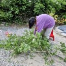 행복한 농원 이미지