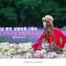 샘물화원 - 평택시 구룡길 52-7 | 샘물화원