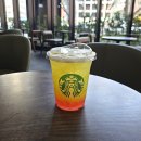 매실 | 스타벅스 베이스볼 매실 그린티 솔직후기_가격부터 칼로리까지