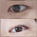 둔산소방서 | 로나브로우 둔산속눈썹펌 후기｜섬세한 시술 경험