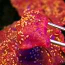 육회생각 | 세종대 근처 맛집 육회공작소｜육회·야끼니꾸 조합 생각보다 괜찮았던 건대 주변 술집 후기